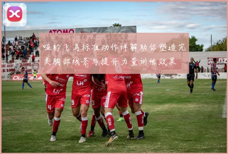 哑铃飞鸟标准动作详解助你塑造完美胸部线条与提升力量训练效果